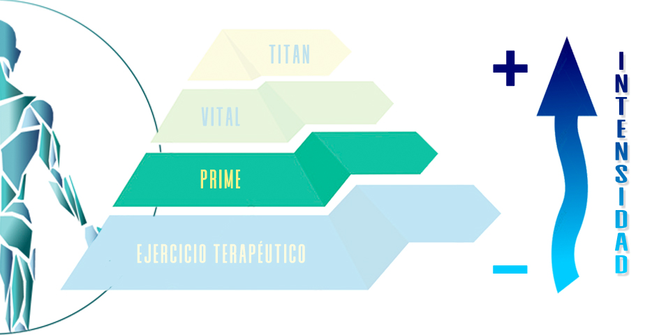 Grupo PRIME