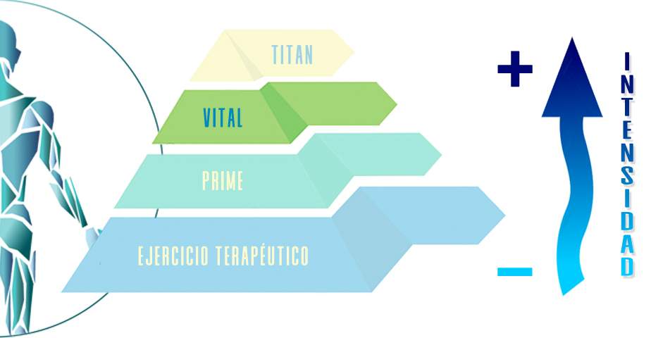 Grupo VITAL